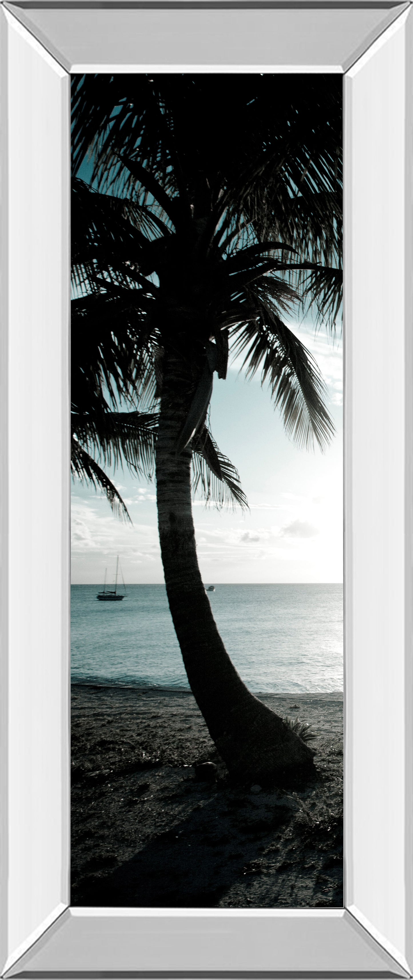 Cool Bimini Palms Il By Susan Bryant - Mirror Framed Print Wall Art - Black