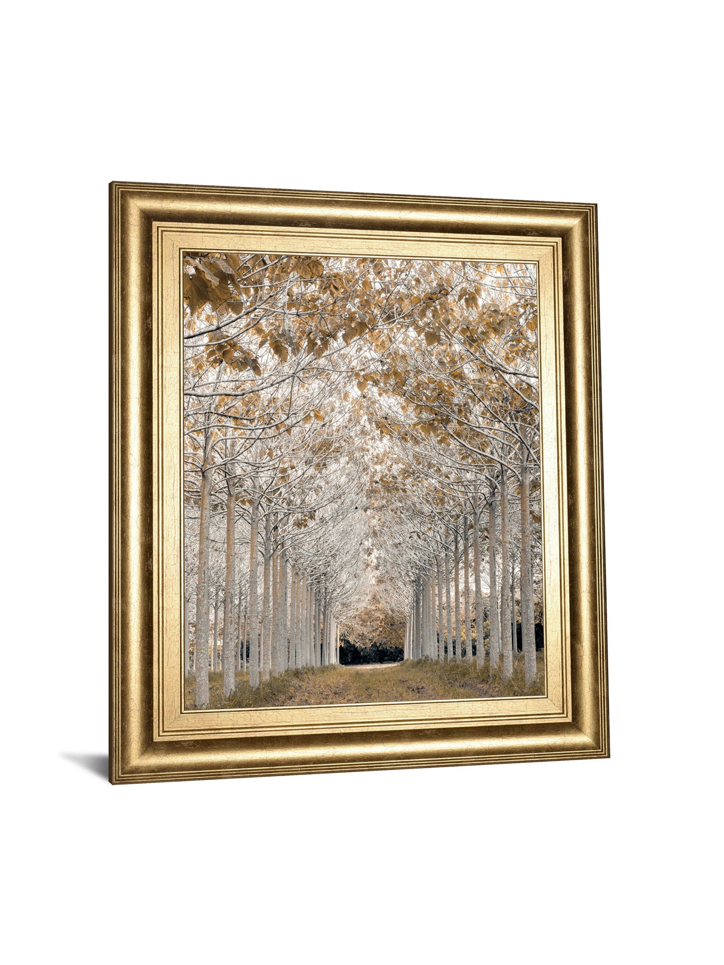 White Gold By Assaf Frank - Framed Print Wall Art - Gold