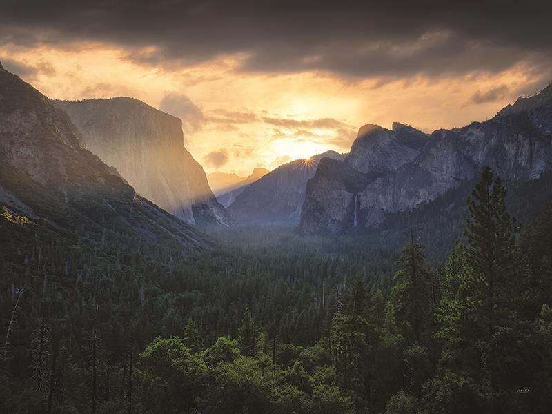 Yosemite Dreams By Martin Podt Photography (Framed Small) - Dark Green Classy Living