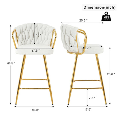 Modern Design High Stool With Plated Legs (Set of 2) Home Essentials