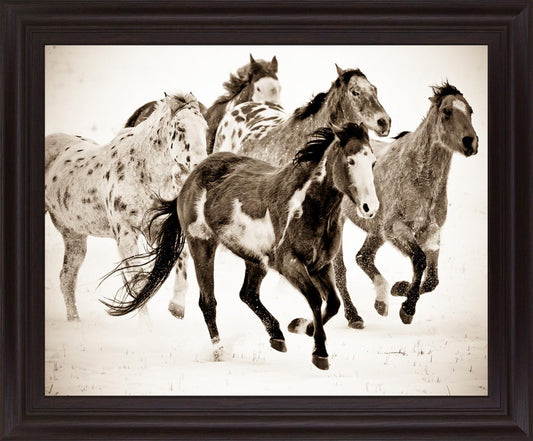Speckled Gallop - 28" x 34" Framed Wall Art Classy Art