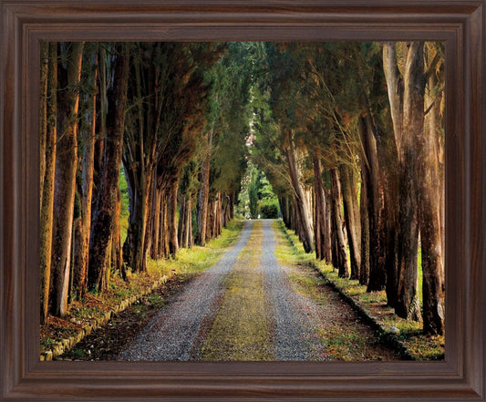 Woodland Passage - 28" x 34" Framed Wall Art Classy Art