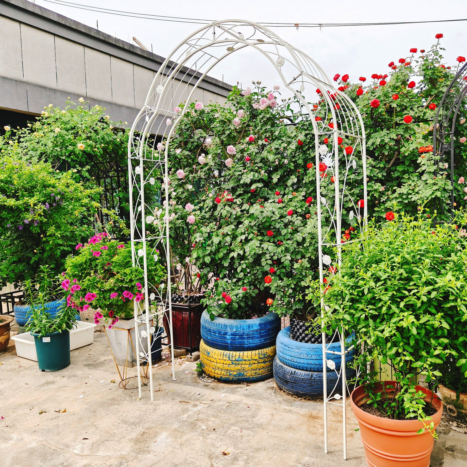 Metal Garden Arch Assemble Freely With 8 Styles Garden Arbor Trellis Climbing Plants Support Rose Arch Daily Nest