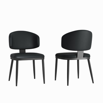 Modern Design Dining Chairs (Set of 2) - Black Home Essentials