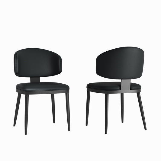 Modern Design Dining Chairs (Set of 2) - Black Home Essentials