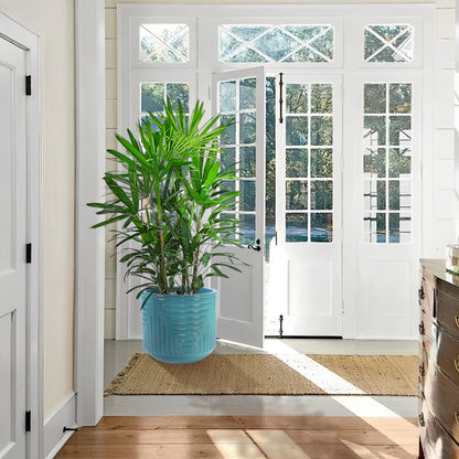 Versatile Flowerpot, Planter For Patio, Garden, Windowsill Daily Nest