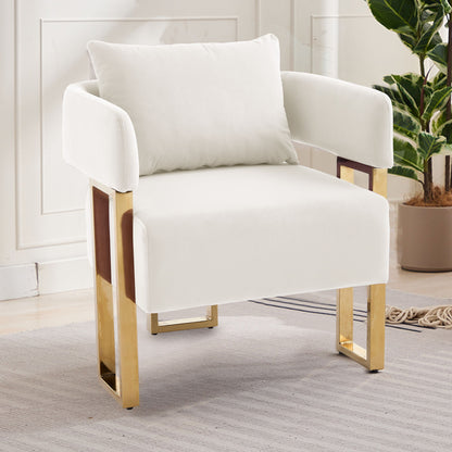 Modern Classic Design Decorative Chair Teddy Fleece Upholstered And Metal Foot Home Essentials