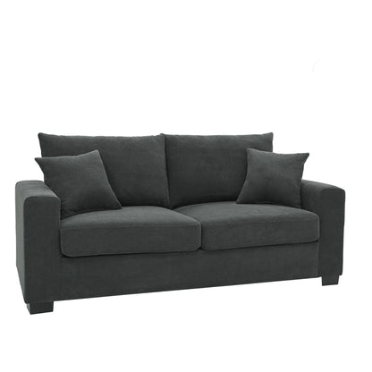 2 Seater Sofa, 2 Throw Pillows For Living Room Home Essentials