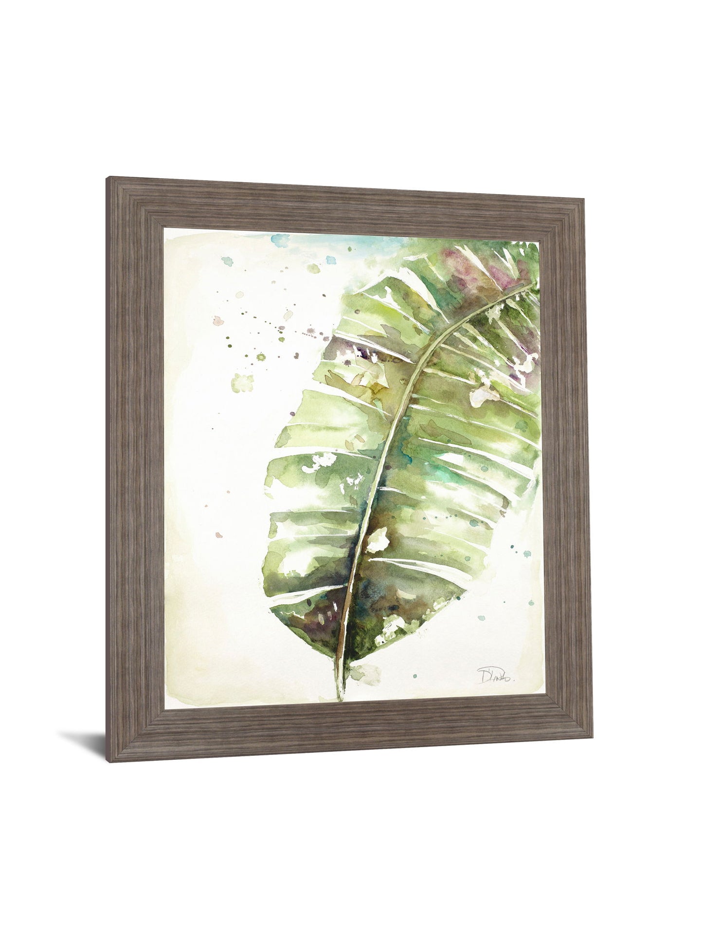 Verdant Splash - 28" x 34" Framed Wall Art