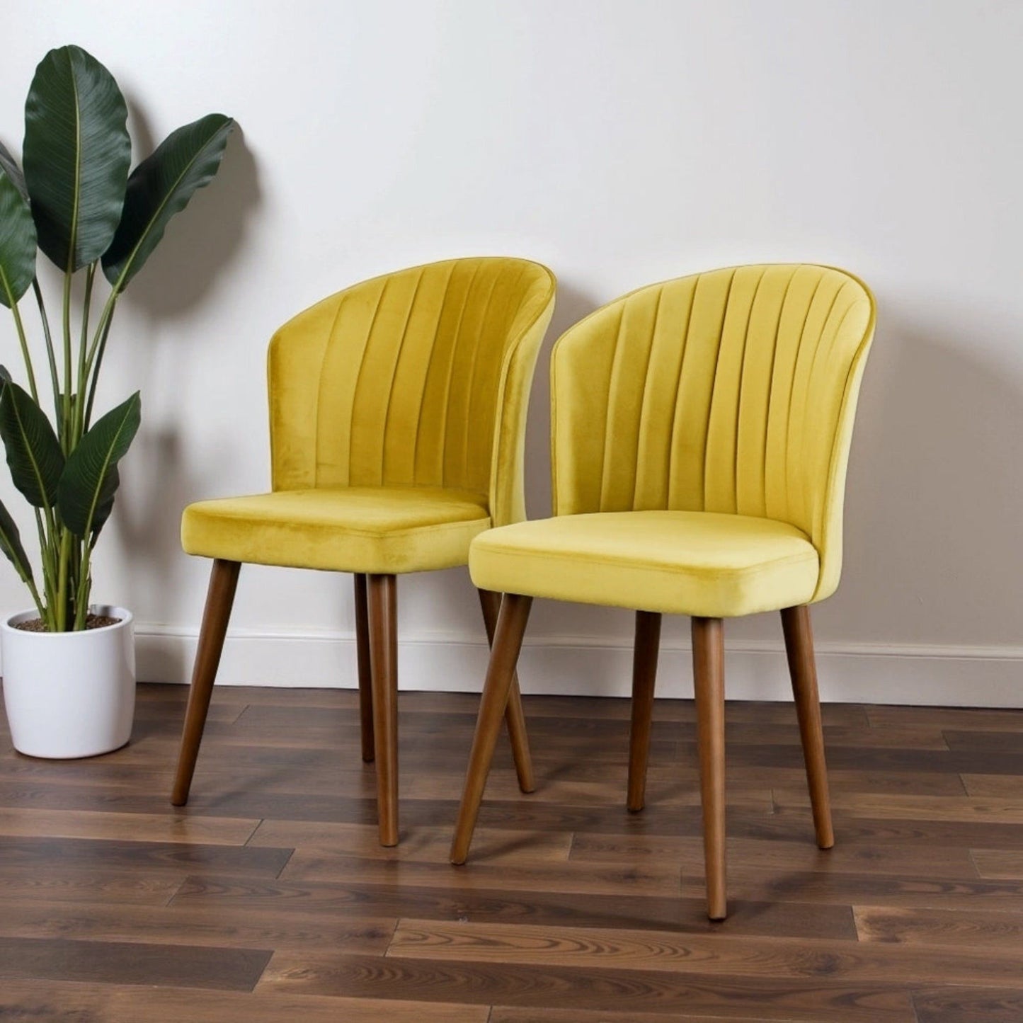 Parsons - Comfortable Dining Chair (Set of 2) Ashcroft Furniture