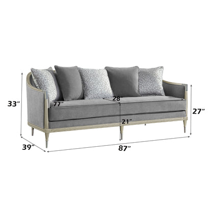 Fernando - Sofa With 5 Pillows - Champagne / Gray Acme