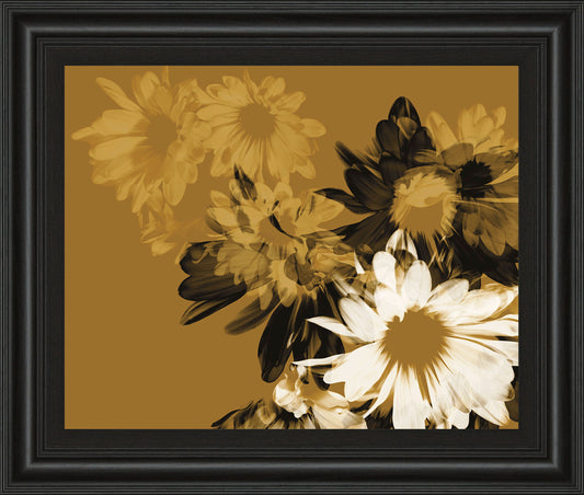 Golden Bloom Il By A. Project Framed Print Wall Art - Dark Brown