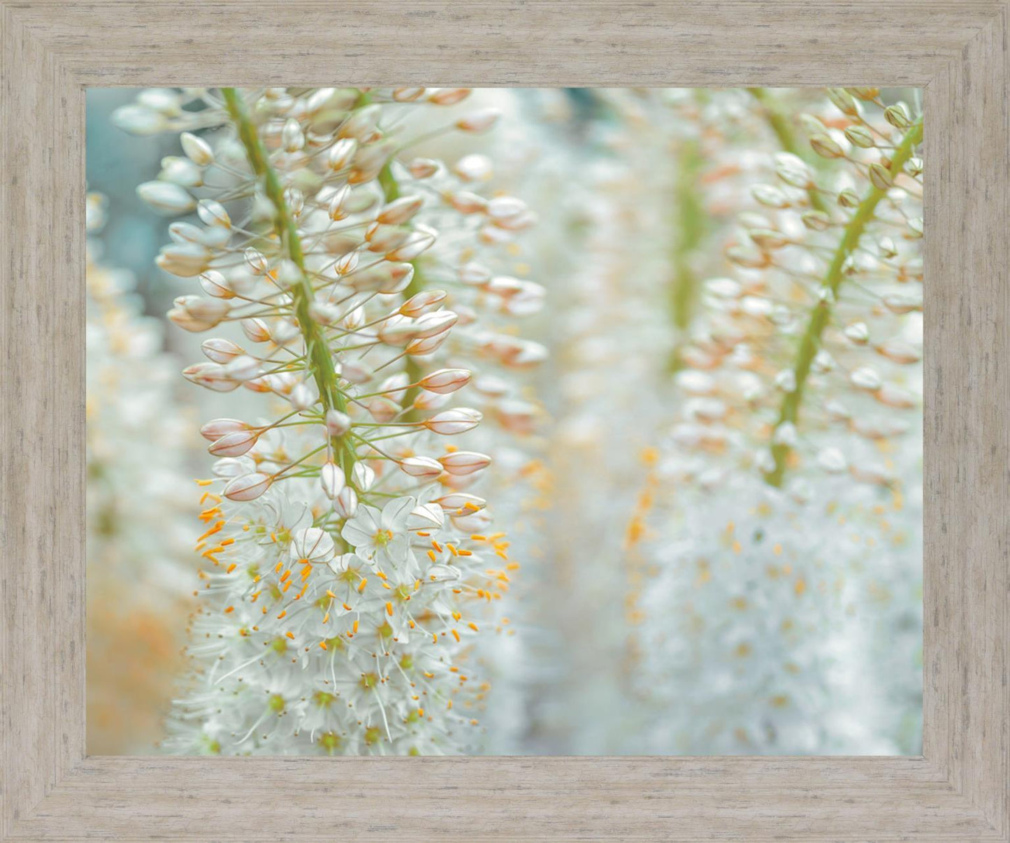 Whispering Blossoms - 28" x 34" Framed Wall Art Classy Living