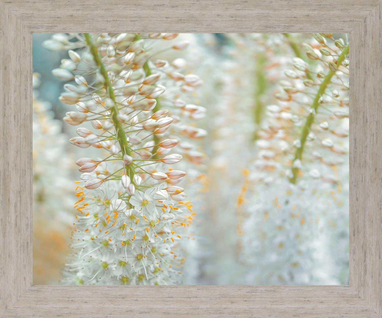 Whispering Blossoms - 28" x 34" Framed Wall Art Classy Living