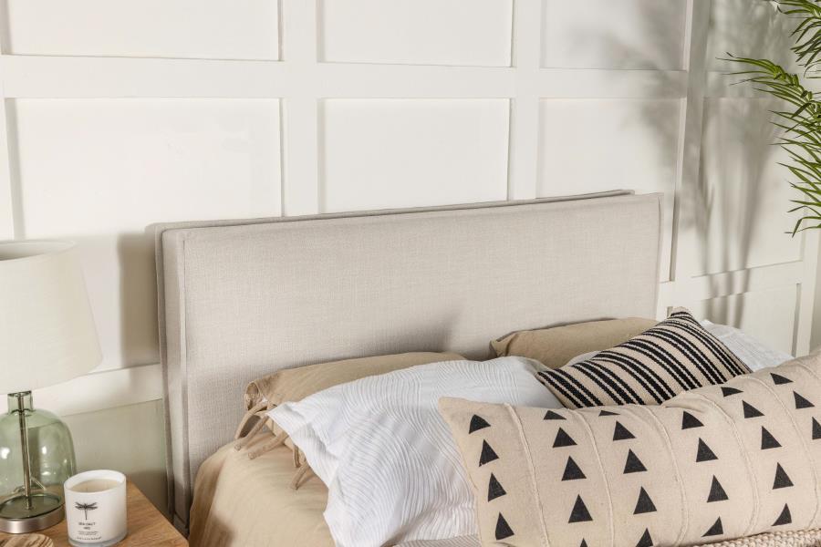 Izzy - Upholstered Panel Headboard CoasterEveryday