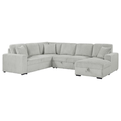 Devonshire - Sleeper Sectional Sofa Storage Chaise Coaster Fine Furniture