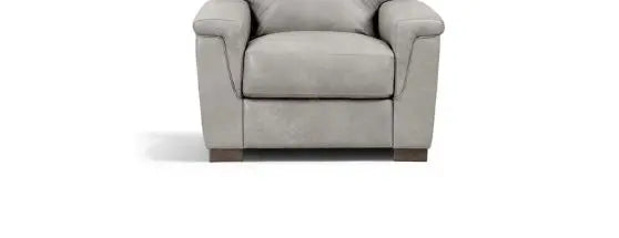 Cornelia - Leather Chair - Gray Acme