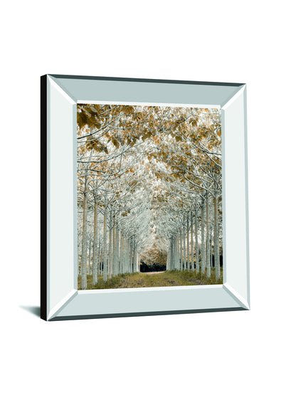White Gold By Assaf Frank - Mirror Framed Print Wall Art - Pearl Silver