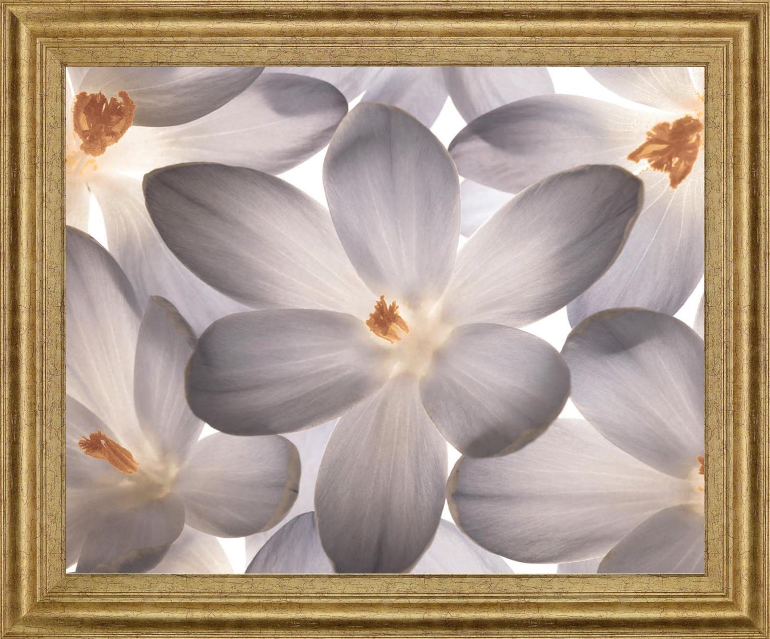 Whispering Blossom - 28" x 34" Framed Wall Art Classy Living