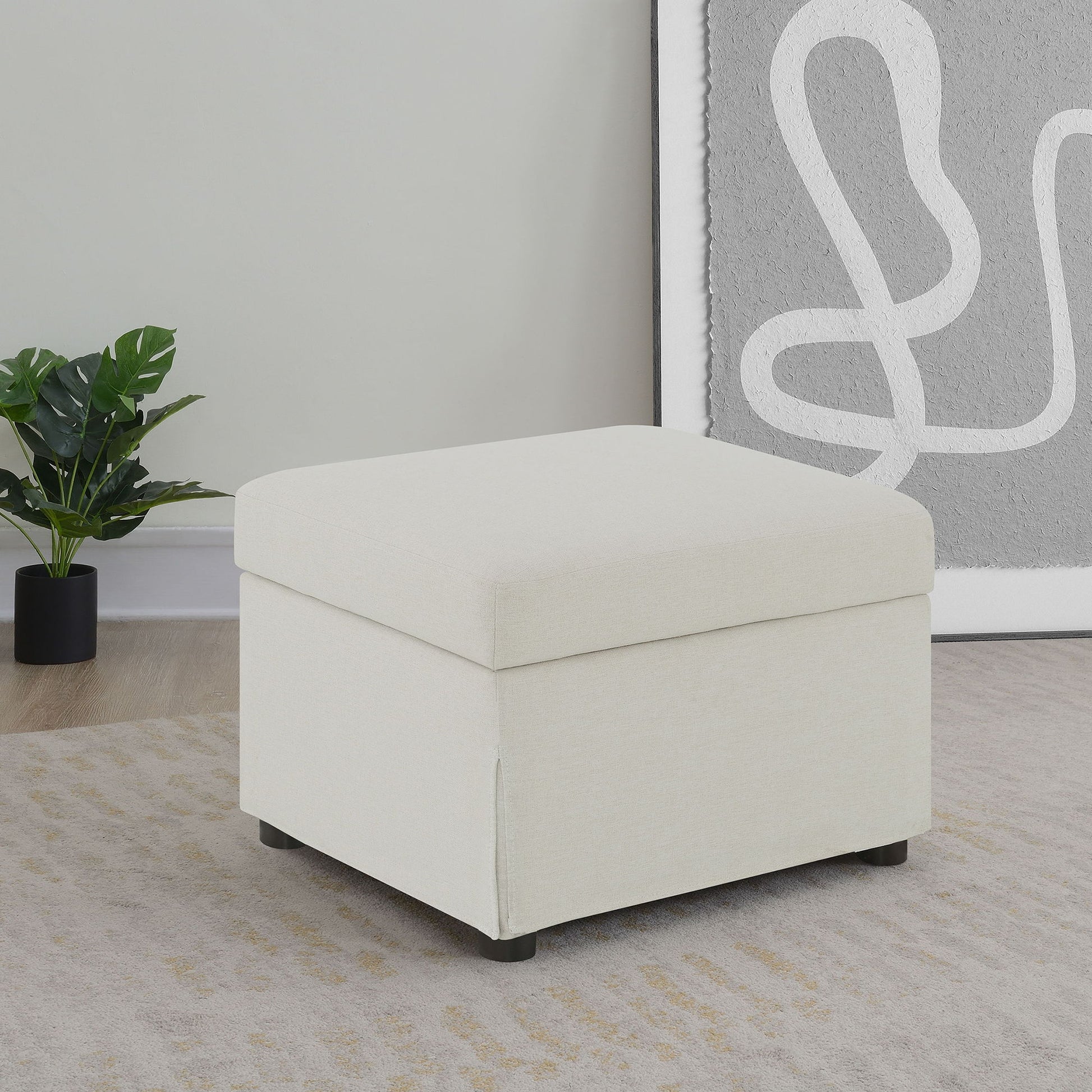 Merced - Lift Top Storage Ottoman Furniture Max