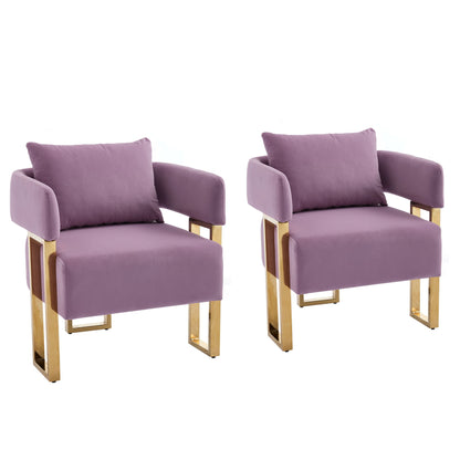 Modern Decorative Chair Teddy Fleece Upholstered And Metal Foot Home Essentials