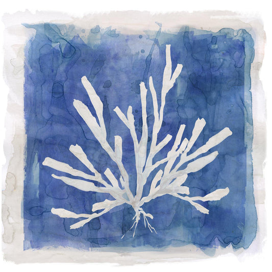 Small - Coastal Washes Coral I By Carol Robinson - Blue