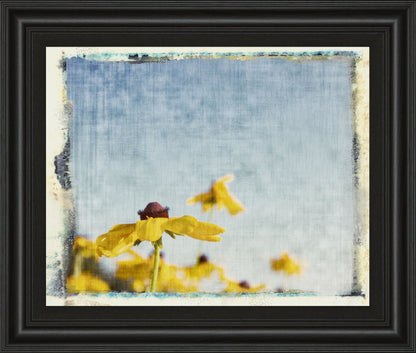 Blackeyed Susan's I By Meghan Mc Sweeney - Framed Print Wall Art - Yellow