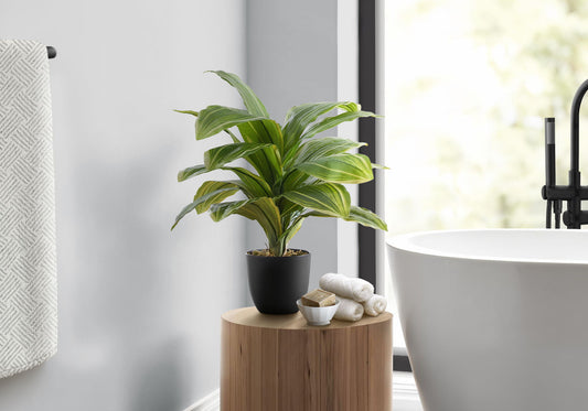 17" Tall, Artificial Plant, Dracaena, Indoor, Faux, Fake, Table, Greenery, Potted, Real Touch, Decorative - Green / Black 8th Street