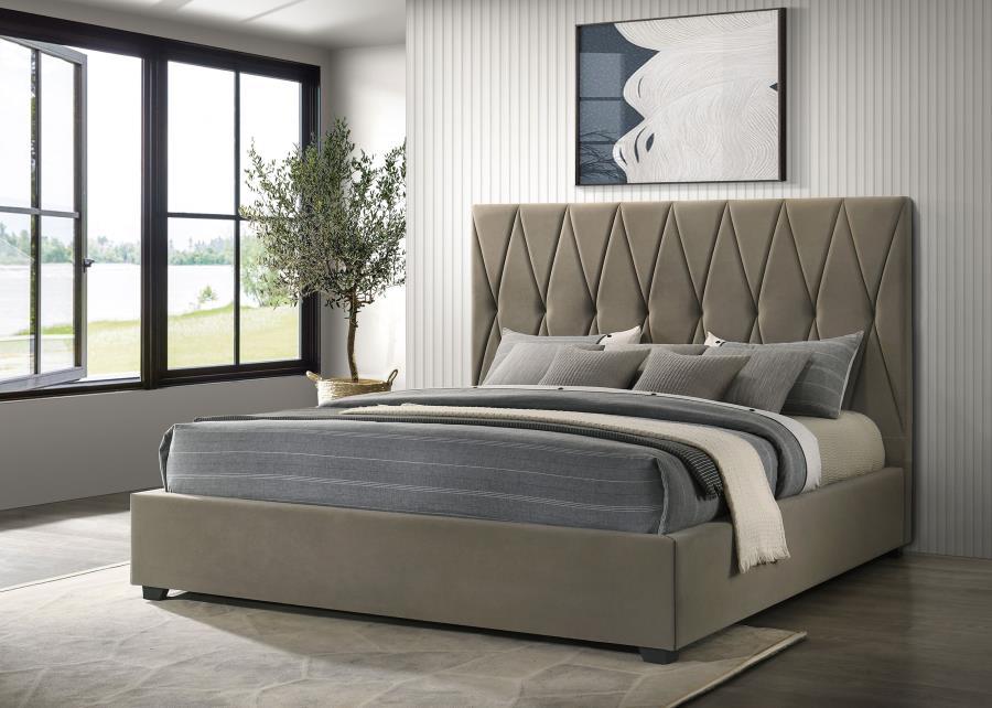 Delsea - Upholstered Platform Bed Coaster Fine Furniture