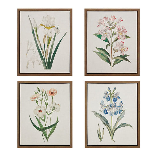 Herbal Botany - Herbal Botany 4-Piece Botanical Illustration Framed Canvas Wall Art Set - Green Madison Park