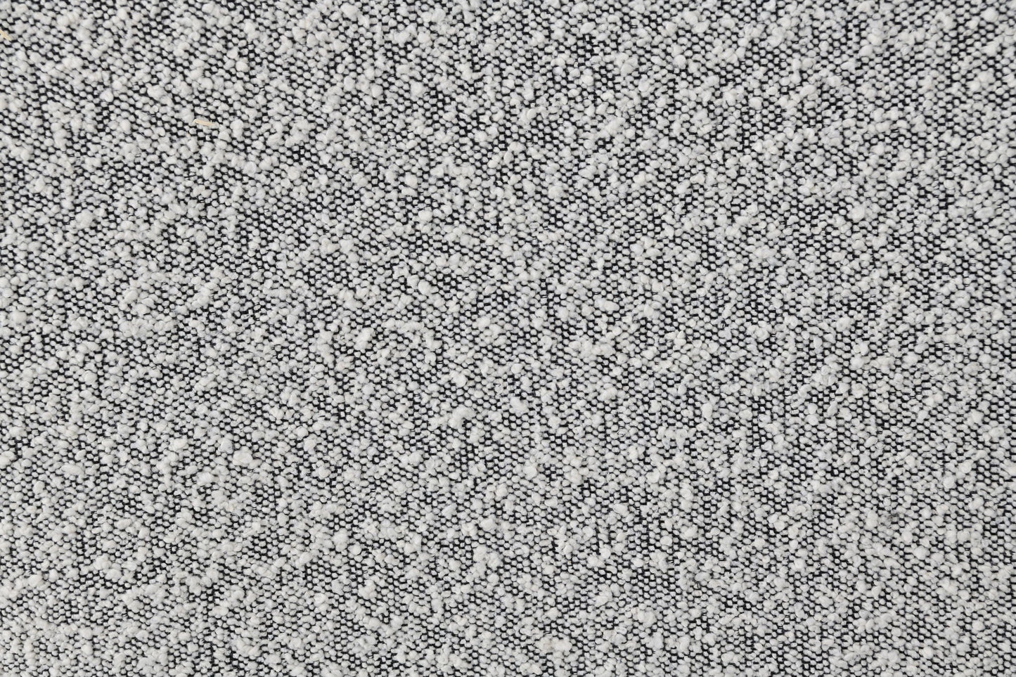 Nayeli - Boucle Sofa Acme