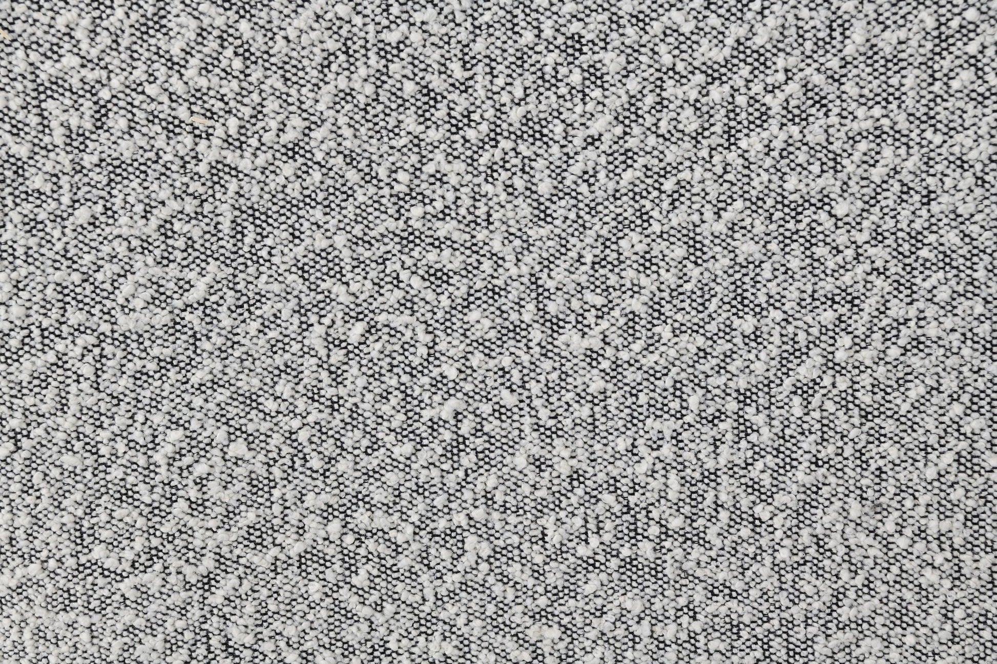 Nayeli - Boucle Sofa Acme