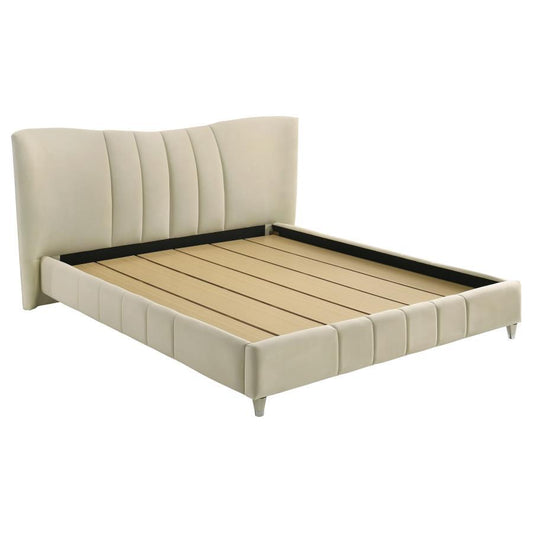 Evelyn - Upholstered Panel Platform Bed Coaster Fine Furniture