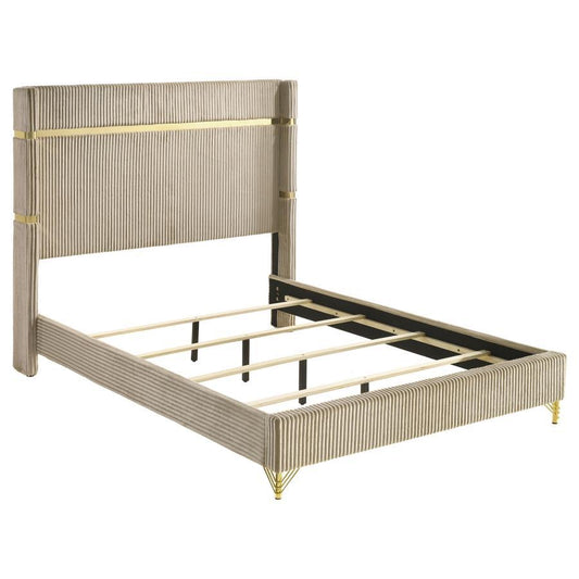 Lucia - Upholstered Wingback Bed Coaster Fine Furniture
