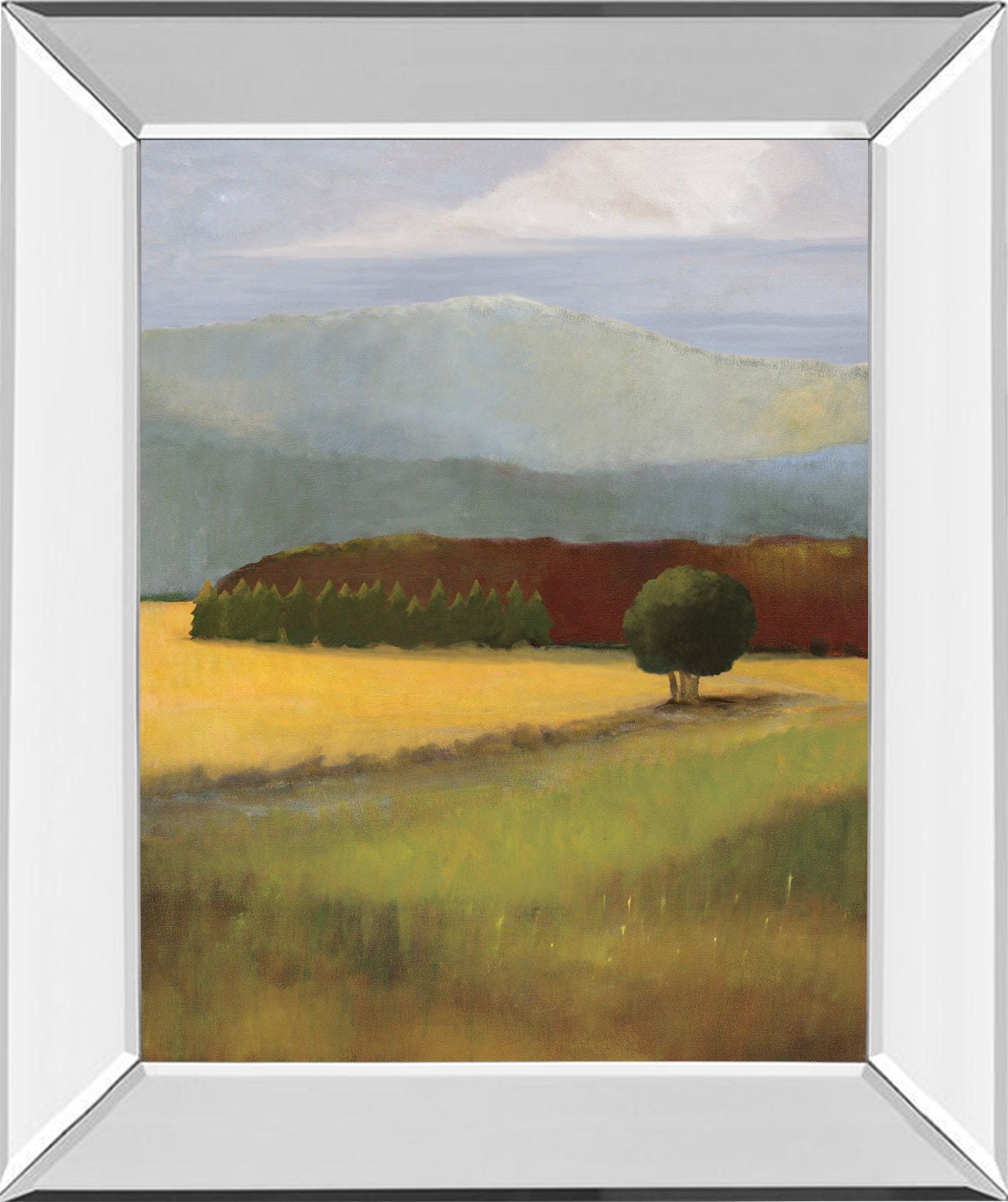 Field Of Gold By Judith D'agostino - Mirror Framed Print Wall Art - Green