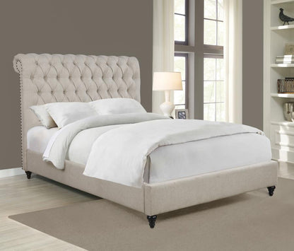 Devon - Upholstered Panel Bed CoasterEssence