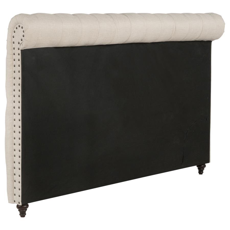 Devon - Upholstered Headboard CoasterEssence