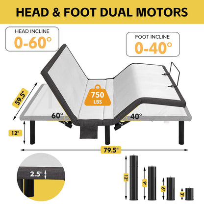 Ergonomic Adjustable Bed & Zero Gravity Base Daily Nest