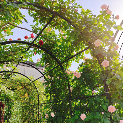 Metal Garden Arch With Two Plant Stands Wide High Climbing Plants Support Rose Arch Outdoor - Black Daily Nest