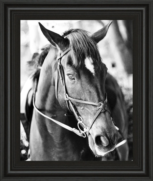 Derby I By Susan Bryant - Framed Print Wall Art - Black