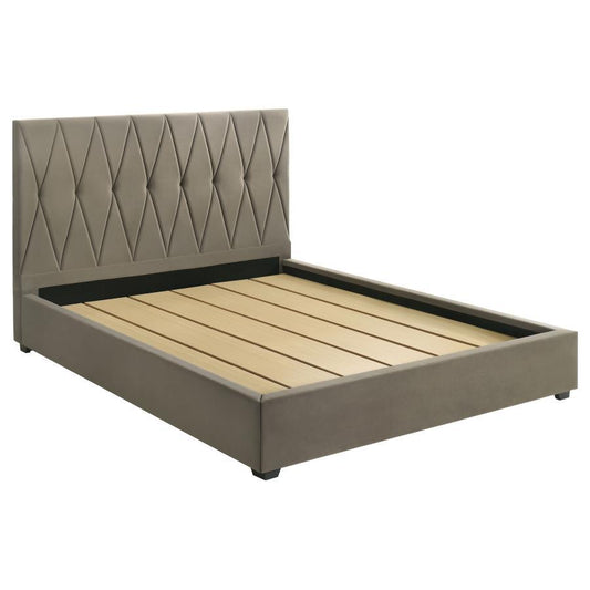 Delsea - Upholstered Platform Bed Coaster Fine Furniture