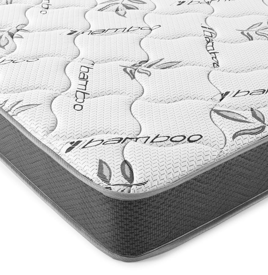 Kenyon - Bamboo Cover Firm Foam Mattress Coaster Fine Furniture
