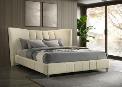 Evelyn - Upholstered Panel Platform Bed Coaster Fine Furniture