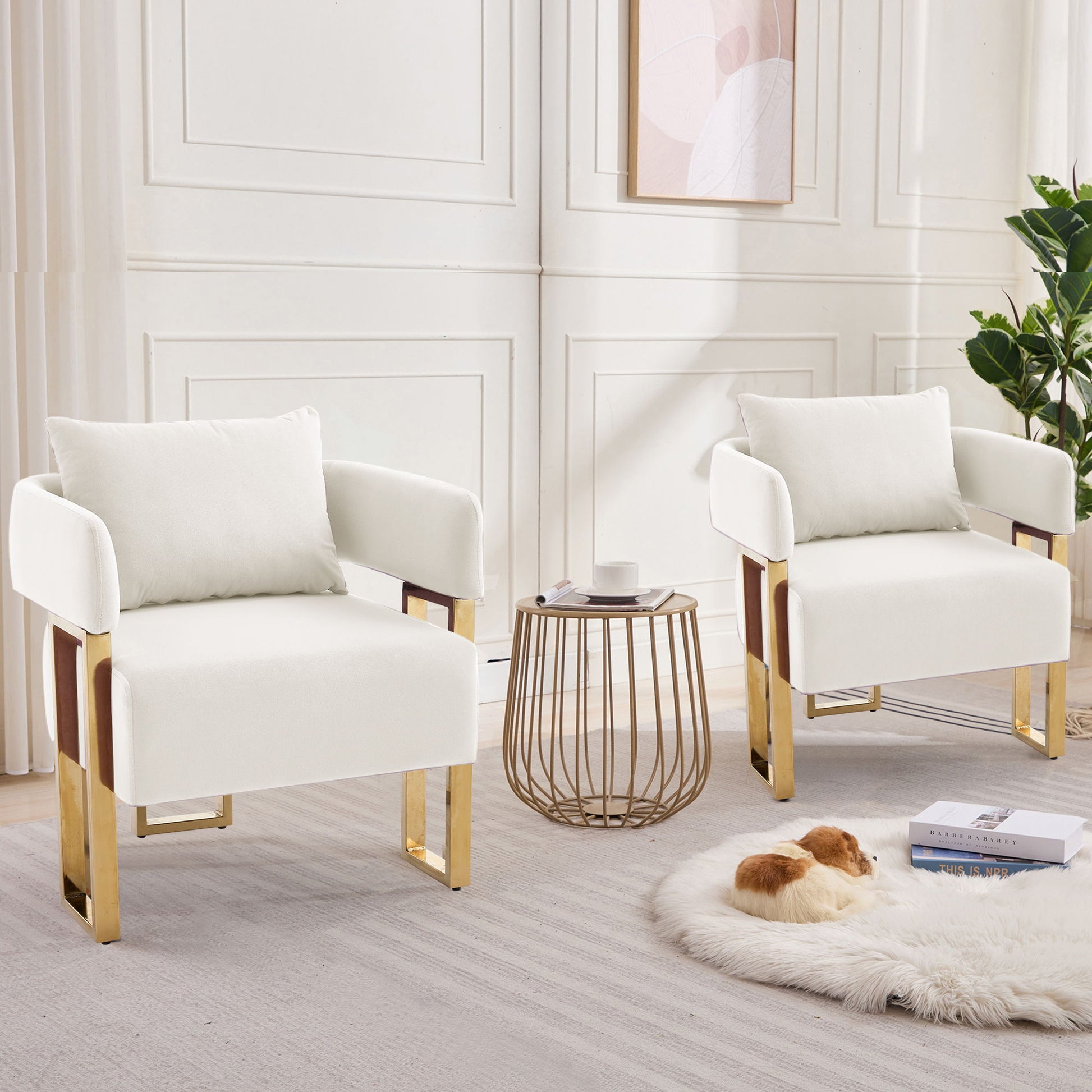 Modern Classic Design Decorative Chair Teddy Fleece Upholstered And Metal Foot Home Essentials