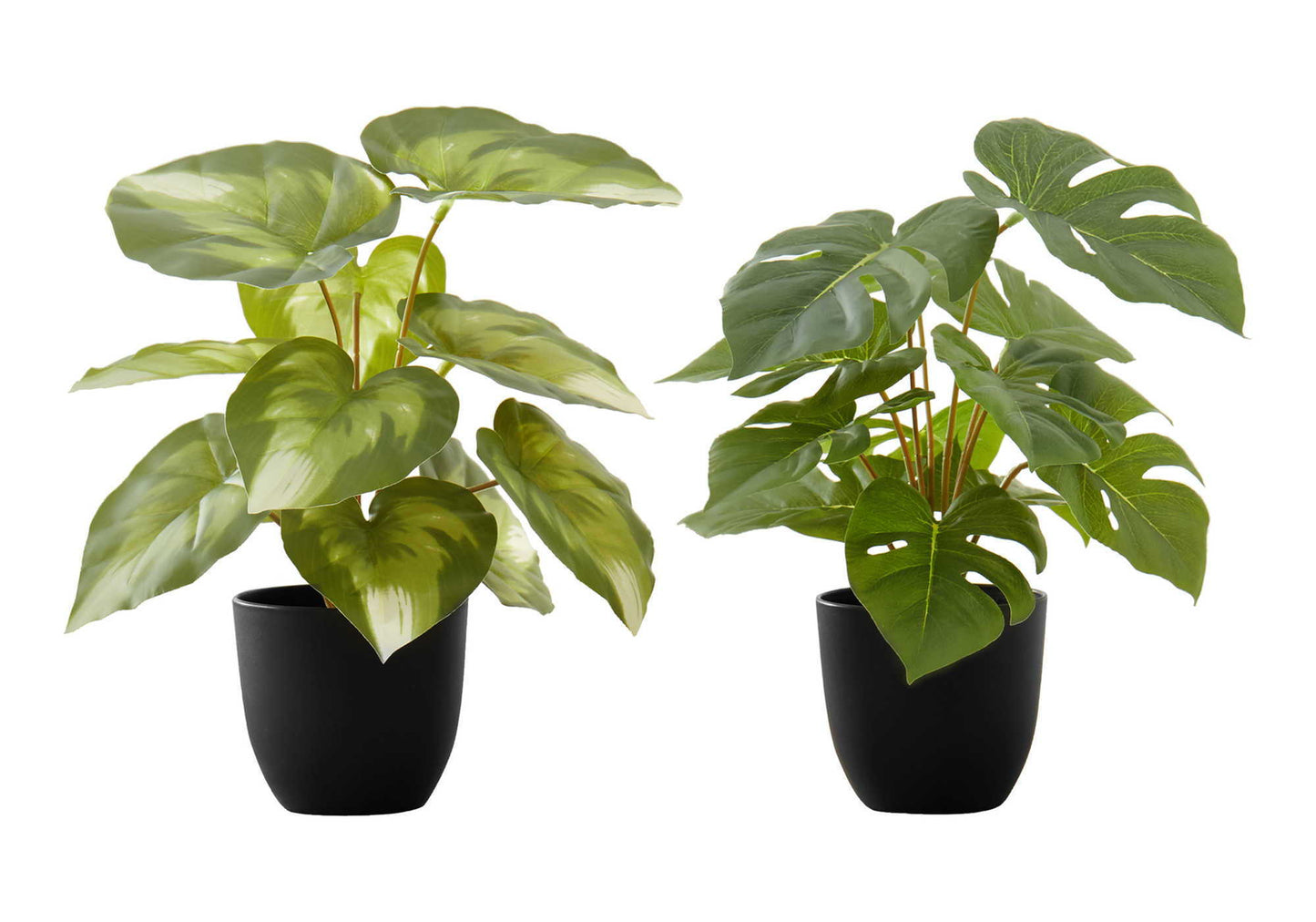 13" Tall, Artificial Plant, Monstera Calthea, Indoor, Faux, Fake, Table, Greenery, Potted, Decorative (Set of 2) - Green / Black 8th Street