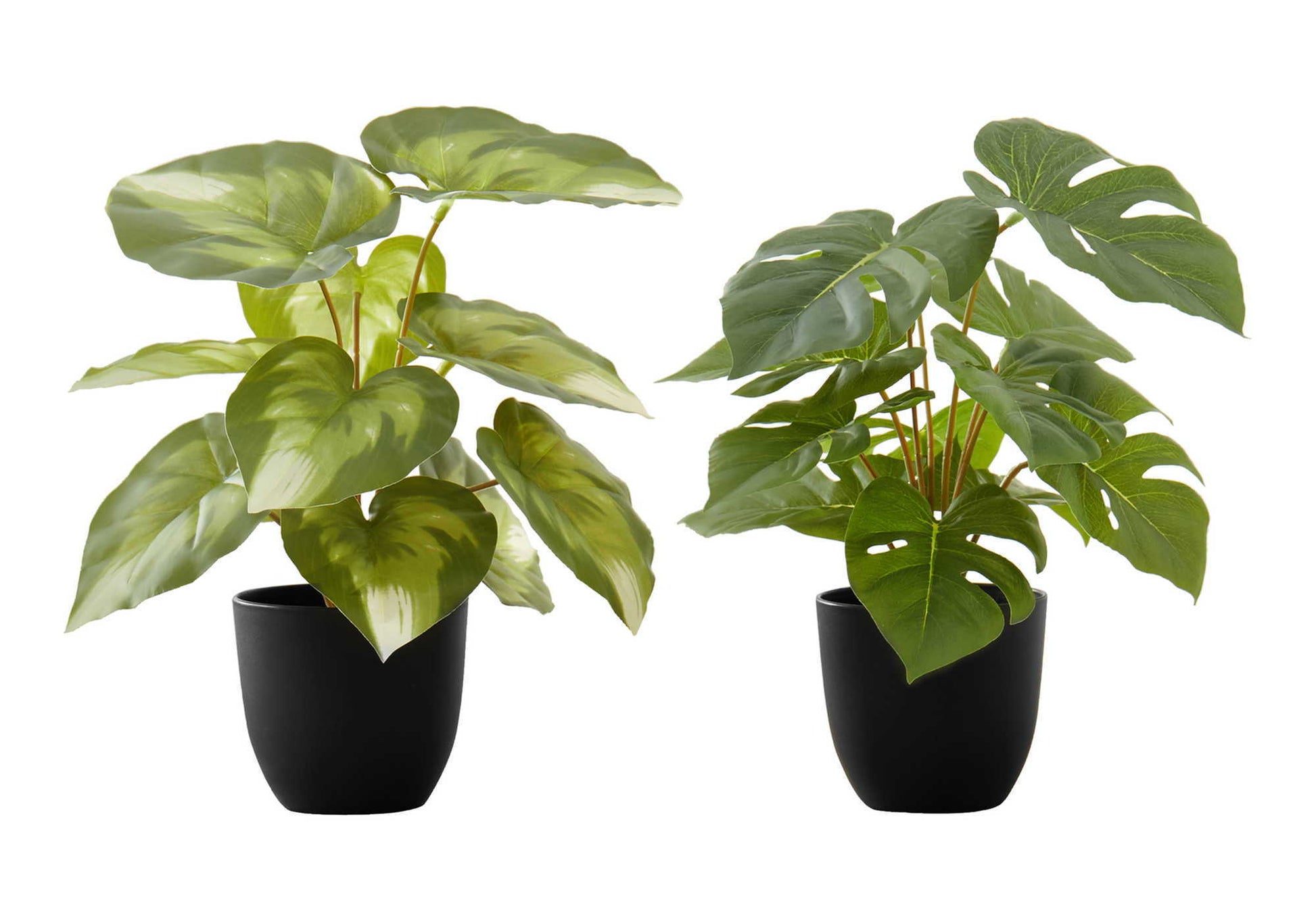13" Tall, Artificial Plant, Monstera Calthea, Indoor, Faux, Fake, Table, Greenery, Potted, Decorative (Set of 2) - Green / Black 8th Street