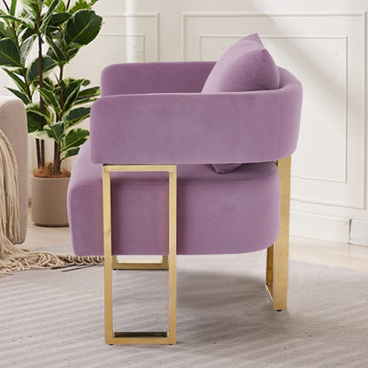 Modern Decorative Chair Teddy Fleece Upholstered And Metal Foot Home Essentials