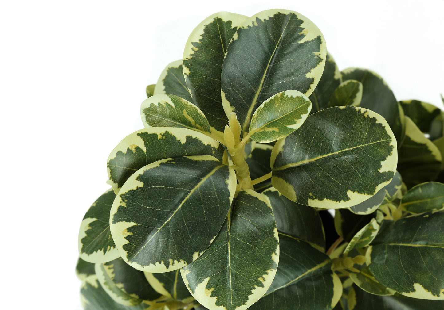 14" Tall, Artificial Plant, Ficus, Indoor, Faux, Fake, Table, Greenery, Potted, Decorative (Set of 2) - Green / Black 8th Street