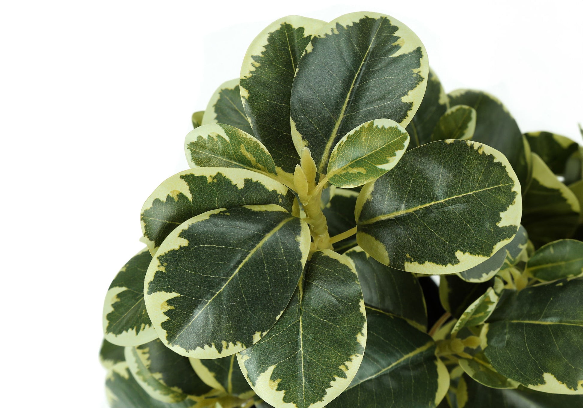 14" Tall, Artificial Plant, Ficus, Indoor, Faux, Fake, Table, Greenery, Potted, Decorative (Set of 2) - Green / Black 8th Street