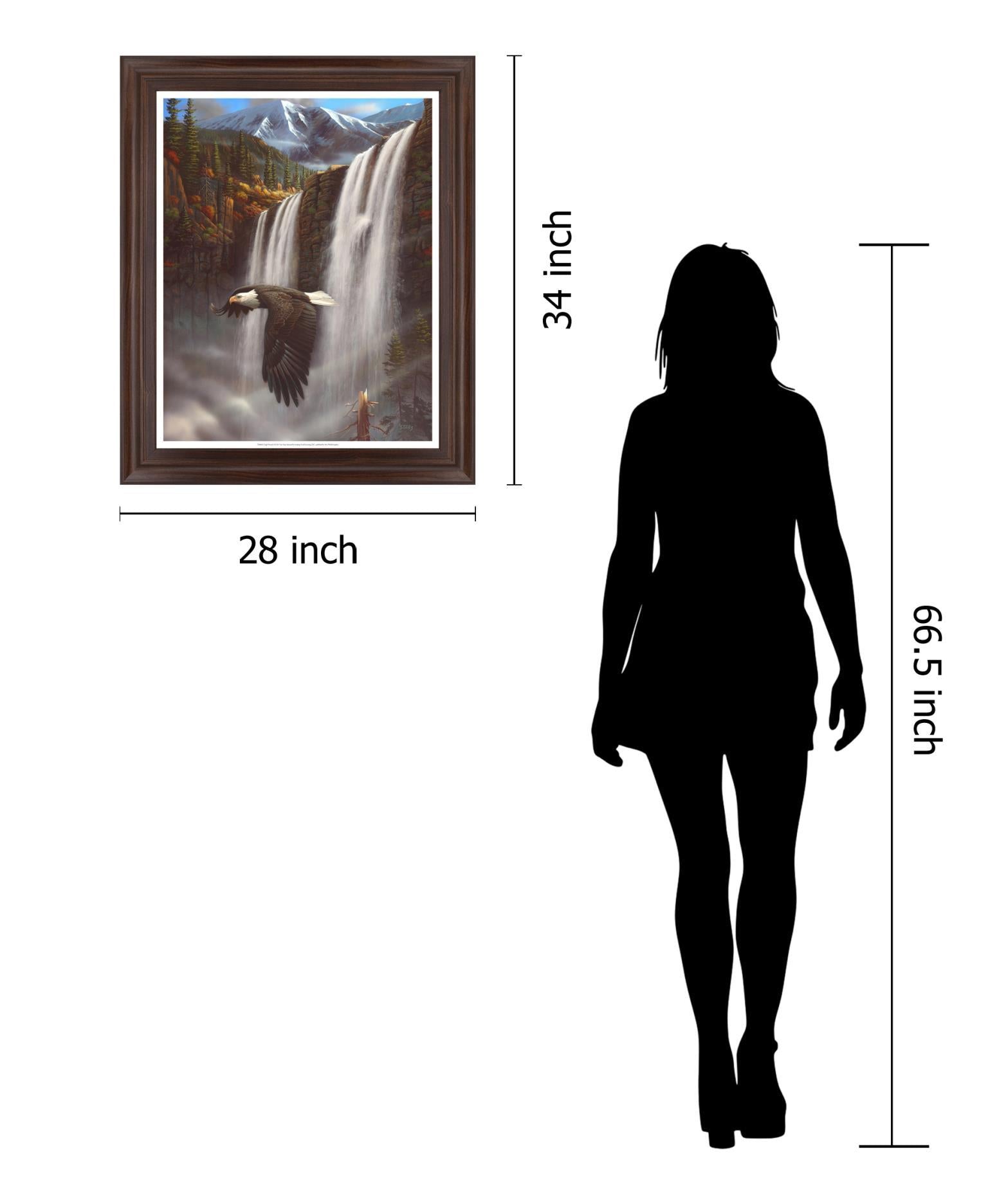 Soaring Above Falls - 28" x 34" Framed Wall Art Classy Art